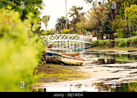 Une vue paisible sur les canaux de Venise à Los Angeles montre de petits bateaux se reposant le long du rivage, une végétation luxuriante, une eau réfléchissante calme et un petit garçon blanc Banque D'Images