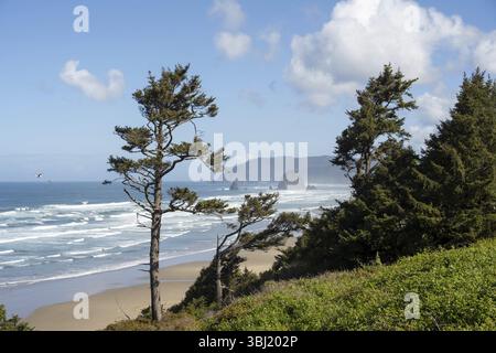 Plage ensoleillée avec de grands rochers dans la mer et ciel bleu clair, atmosphère paisible et relaxante, Haystack Rock, Cannon Beach, Oregon, États-Unis, Amérique du Nord Banque D'Images