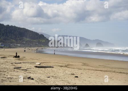 Plage ensoleillée avec de grands rochers dans la mer et ciel bleu clair, atmosphère paisible et relaxante, Cannon Beach, Oregon, États-Unis, Amérique du Nord Banque D'Images