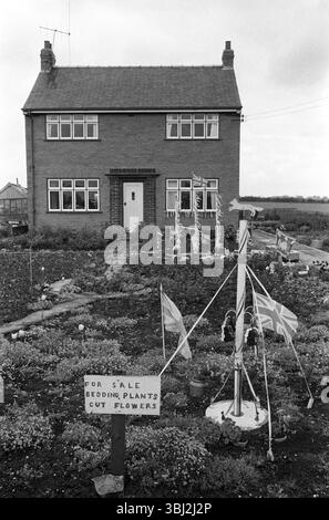 Maypole UK. Barwick à Elmet, West Yorkshire Spring Bank Holiday 1970s. Un jardinier local montre réplique Maypoles dans son jardin avant avec, pour la vente plantes de literie et couper fleurs signe de vente. Barwick à Elmet, West Yorkshire, Angleterre 1972 HOMER SYKES Banque D'Images