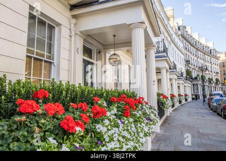 Londres, Royaume-Uni- 19 août 2023 : vue du croissant Grosvenor à Belgravia Banque D'Images
