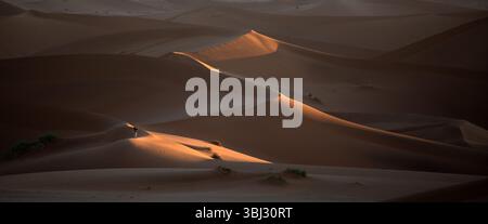 Une figure solitaire est définie comme échelle dans les grandes dunes de sable rouge de Sossusvlei, Namib Naukluft National Park, Namibie au lever du soleil. Banque D'Images