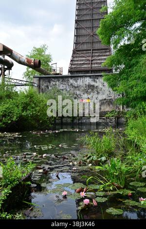 Nénuphars et reflets dans l'étang sur le terrain du Landschaftspark Duisburg, Allemagne Banque D'Images