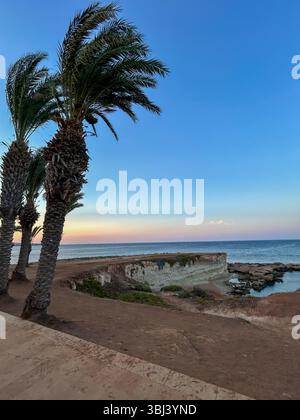 Vue panoramique sur la côte avec des palmiers se balançant dans le vent au coucher du soleil à Chypre, surplombant les falaises rocheuses et la mer Méditerranée calme. Banque D'Images