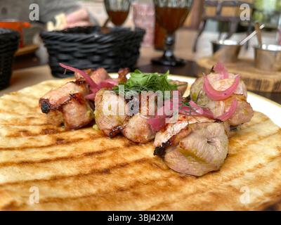 Morceaux de viande grillée avec oignons marinés sur crêpe, pita. Cuisine asiatique traditionnelle. Nourriture et produits. Banque D'Images