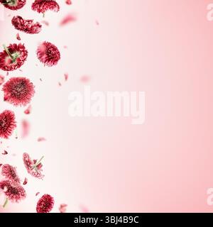 Cadre floral avec des fleurs roses volantes sur fond clair. Bordure faite de belle fleur tombante. Banque D'Images