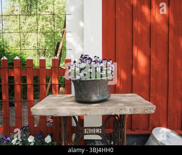 Fleurs dans un pot de plante rond sur une vieille table de couture en Suède Banque D'Images
