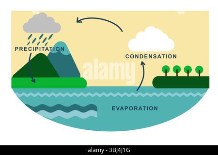Illustration colorée du cycle de l'eau, montrant les étapes clés, y compris l'évaporation, la condensation, les précipitations et les études environnementales pour l'école Banque D'Images