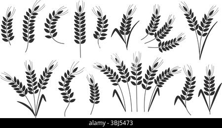 Silhouette noire d'oreilles mûres de plantes céréalières. Ensemble de blé, seigle, orge, millet, épis d'avoine ou riz. Ensemble d'éléments d'ombre symbole de l'agriculture de grain Illustration de Vecteur