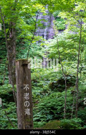 Furo Falls, une cascade mystérieuse cachée dans la forêt estivale profonde de la gorge d'Oirase, qui se jette dans le ruisseau d'Oirase, à Aomori, au Japon. Banque D'Images