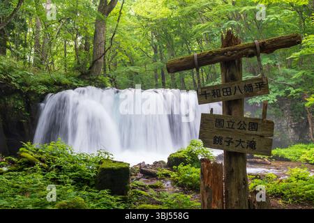 Choshi Otaki Waterfall, la cascade la plus puissante du ruisseau Oirase, crée un spectacle dynamique et brumeux dans la gorge d'Oirase, un point de repère majeur dans Banque D'Images
