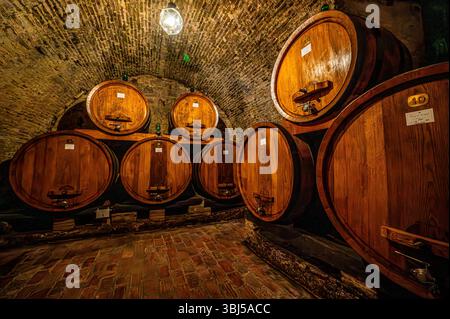 De grands tonneaux de vin en bois reposent dans une cave à vin toscane chaleureuse et faiblement éclairée, mettant en valeur les riches tons bruns et le savoir-faire artisanal de la vinification italienne. Banque D'Images