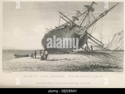 Beagle Laid Ashore, River Santa Cruz, 1834 (1839). HMS 'Beagle' Careened, Rio Santa Cruz, Patagonie, Amérique du Sud. En décembre 1831, le Beagle, commandé par Robert Fitzroy et accompagné du jeune naturaliste Charles Darwin, entreprend un voyage de 5 ans autour du monde. C'est au cours de ce voyage que Darwin a fait des observations qui ont aidé à former sa théorie de l'évolution. Extrait de narrative of the Surveying voyages of His Majesty's Ships Adventure and Beagle, entre les années 1826 et 1836, décrivant leur examen des rives sud de l'Amérique du Sud et de la circumnavigation du G par le Beagle Banque D'Images