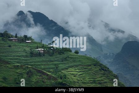 Les petites maisons de fermiers parmi les plantations de maïs sur les pentes des collines Banque D'Images