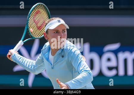 ROSMALEN, PAYS-BAS - 13 JUIN : Ekaterina Alexandrova, de Russie, lors des Championnats Libema Open Grass court 2025 à Autotron le 13 juin 2025 à Rosmalen, pays-Bas. (Photo de Marleen Fouchier/Orange Pictures) Banque D'Images