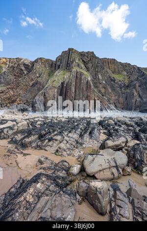 Eliza Beach affleurement coloré de rochers à côté de Sandymouth Bay Cornwall image debout Banque D'Images
