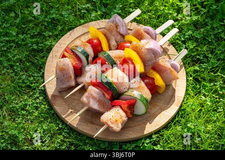 brochettes de poulet et de légumes crus frais sur fond d'herbe verte dans le jardin ensoleillé prêt pour le grill Banque D'Images