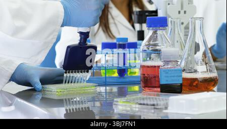 Pipetage des mains gantées transfert de la solution dans une microplaque à 96 puits sur paillasse avec portoir à tubes Banque D'Images