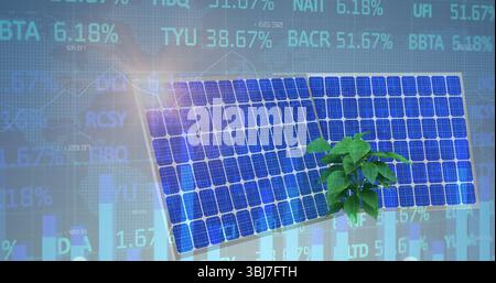 Panneau solaire se penchant derrière le germe vert dans la scène numérique, avec des données financières, silhouette de carte du monde Banque D'Images