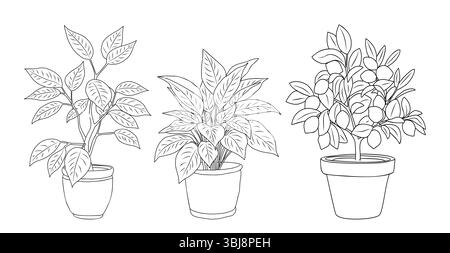Ensemble vectoriel de plantes d'arbre en pot alignent les dessins d'art Illustration de Vecteur