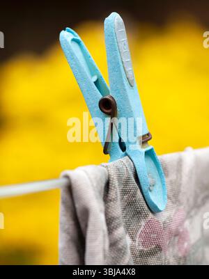 Détail d'une pince à linge bleue tenant le linge fraîchement lavé sur une ligne de lavage Banque D'Images