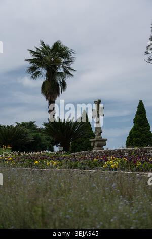 Une croix et un palmier avec vue sur le ciel. Jardin botanique en Géorgie Banque D'Images