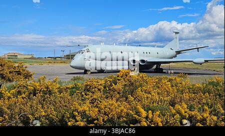 Hawker Siddeley Nimrod MR2 Duc d'Édimbourg à Kinloss, Forres, Moray. Banque D'Images