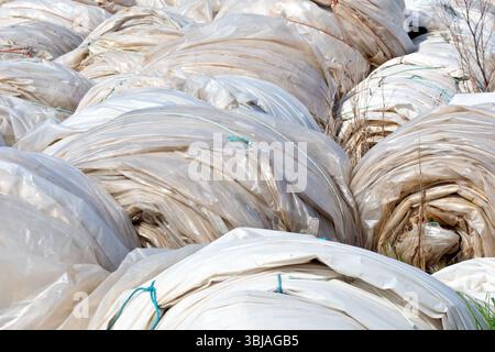 Gros plan de rouleaux inutilisés de feuilles de polyéthylène stockés dans le coin d'un champ, largement utilisés dans l'agriculture moderne pour la construction de polytunnels. Banque D'Images