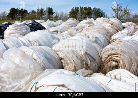 Gros plan de rouleaux inutilisés de feuilles de polyéthylène stockés dans le coin d'un champ, largement utilisés dans l'agriculture moderne pour la construction de polytunnels. Banque D'Images
