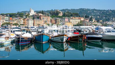 Marina, Santa Margherita Ligure, Ligurie, Italie Banque D'Images