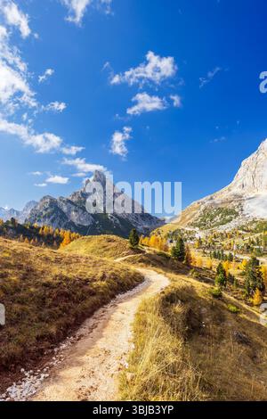 Sentier de randonnée pittoresque serpente à travers le feuillage d'automne coloré au cœur des Dolomites italiennes, offrant des vues à couper le souffle Banque D'Images