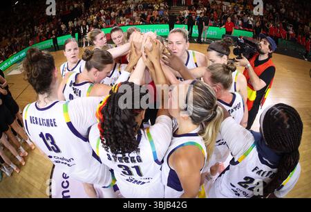 Ostende, Belgique. 14 juin 2025. Les joueurs de Belgian Cats photographiés après un match amical entre l'équipe nationale belge Cats et l'Allemagne, à Ostende, le samedi 14 juin 2025. BELGA PHOTO VIRGINIE LEFOUR crédit : Belga News Agency/Alamy Live News Banque D'Images