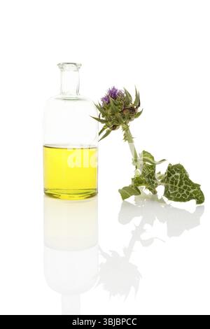 Extrait d'huile de chardon Marie dans un pot en verre avec fleur de chardon Marie isolé sur fond blanc. Plante médicinale de santé Banque D'Images