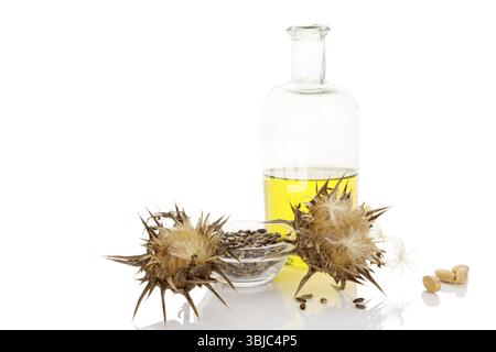 Fleurs séchées de chardon Marie avec des graines dans un bol en verre et extrait d'huile de chardon Marie dans un pot en verre isolé sur fond blanc Banque D'Images