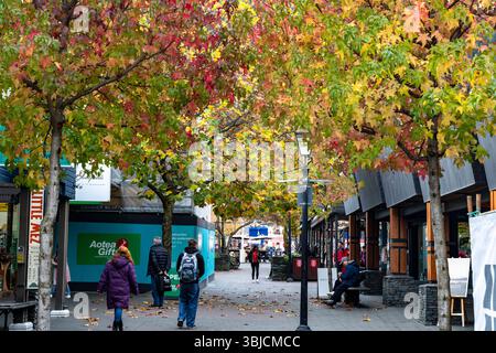 Le Mall dans le centre-ville de Queenstown, feuilles d'automne rouges et brunes sur les arbres à Queenstown, région d'Otago, Île du Sud, Nouvelle-Zélande Banque D'Images