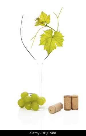 Verre à vin vide luxueux avec des feuilles de vigne, des raisins verts et des bouchons de vin isolés sur fond blanc. Vin culinaire luxueux buvant de la nature morte Banque D'Images