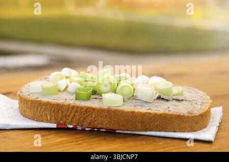 Pâté d'oie avec oignon frais sur pain croquant sur fond en bois Banque D'Images