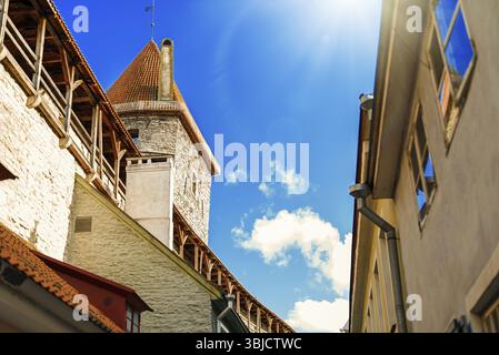 Murs de forteresse du vieux Tallinn en été Banque D'Images