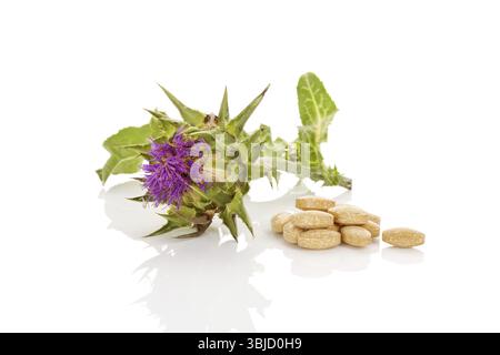 Remède naturel au chardon-lait. Fleur de chardon au lait avec des pilules de supplément nutritionnel isolé sur fond blanc Banque D'Images