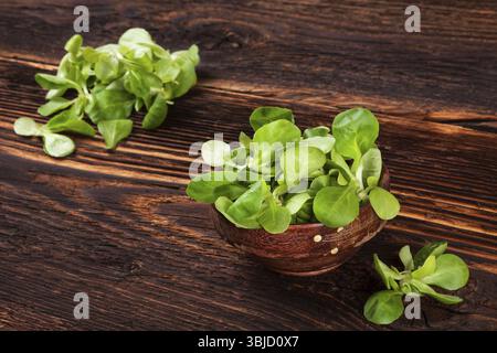 Salade de laitue d'agneau fraîche dans un bol en bois sur vieux fond vintage en bois. Salade fraîche, image rustique de style campagnard vintage Banque D'Images