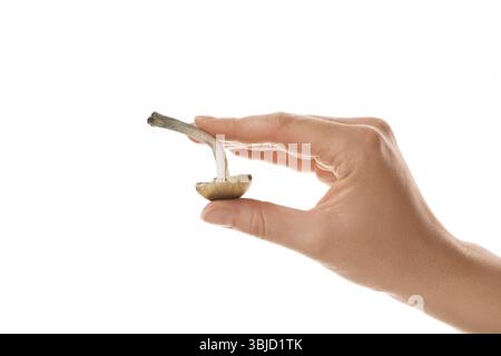 Main femelle tenant des champignons magiques frais isolés sur fond blanc. Champignons psychédéliques hallucinogènes. Médecine alternative Banque D'Images