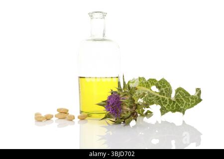Extrait d'huile de chardon Marie avec fleur de chardon Marie et pilules de supplément isolé sur fond blanc Banque D'Images