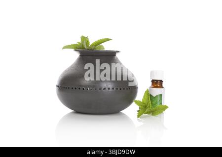 Lampe avec un arôme de menthe et d'huile essentielle de feuilles, de l'aromathérapie. Isolé sur fond blanc Banque D'Images
