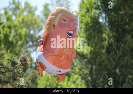 Salt Lake City, Utah – 14 juin 2025 : un ballon « Trump Baby » flotte pendant la manifestation « No Kings » à l’Université de l’Utah, se moquant de l’autoritarisme. Banque D'Images