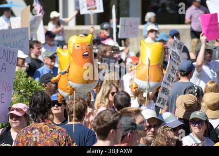 Salt Lake City, Utah – 14 juin 2025 : des manifestants se rassemblent au Marriott Library Plaza de l'Université de l'Utah, lors de la manifestation « No Kings » pour la démocratie. Banque D'Images
