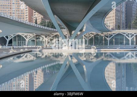 Architecture futuriste de la Cité des Arts et des Sciences avec piscine d'eau réfléchissante. Valencia Landmark, Design moderne, structures en béton, Urban Landscap Banque D'Images