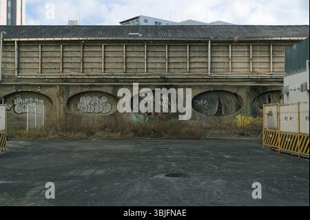Mur abandonné dans le centre de Tokyo : des graffitis à l'intérieur de recoins ovales, des mauvaises herbes envahies reprenant un coin oublié de la ville Banque D'Images