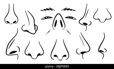 Ensemble de vecteur de ligne d'icône de nez, collection d'organes de visage humain. Anatomie partie du corps sous une forme différente. Contour monochrome allergique concept nasal pic linéaire Illustration de Vecteur