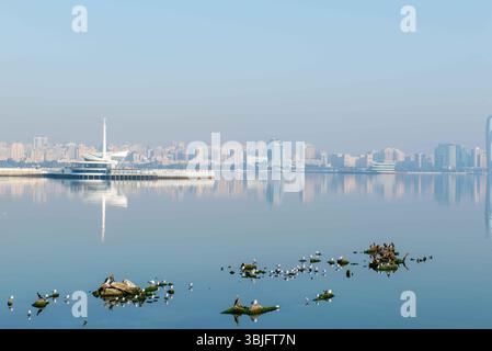 Vue sur la ville de Bakou depuis le remblai du boulevard du bord de mer Banque D'Images