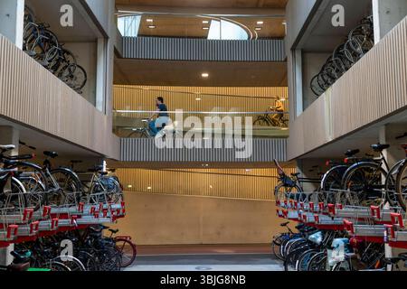 Zentrales Fahrradparkhaus am Stationsplein, dem größten Fahrradparkhaus der Welt mit über 13,000 Stellplätzen auf 3 Etagen, direkt unter dem Hauptbahnhof, Utrecht Centraal, Niederlande, Fahrradparkhaus Utrecht *** garage à vélos central à Stationsplein, le plus grand garage à vélos du monde avec plus de 13 000 places sur 3 étages, directement sous la gare centrale, Utrecht Centraal, Utrecht, les pays-Bas garage à vélos Banque D'Images